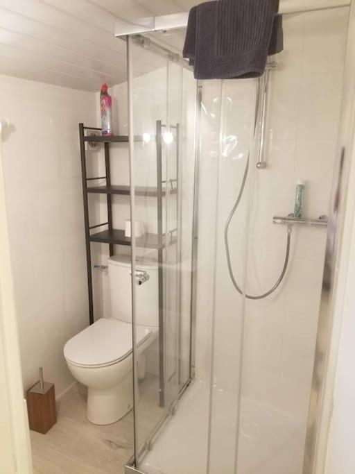Cocon 3 Climatise Coeur Historique Apartment Périgueux Екстериор снимка